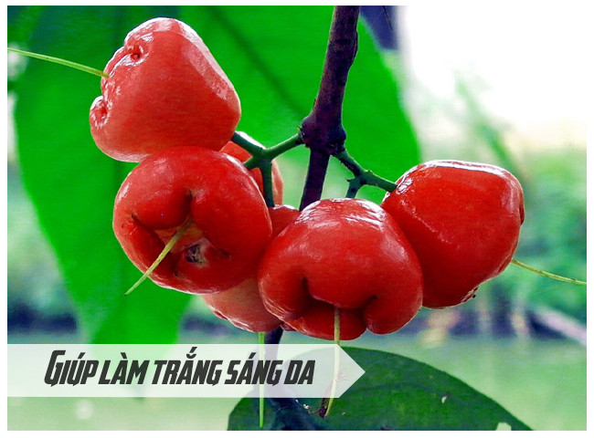 Eating lots of 'whips' is not only painless but also beneficial for health Picture 3