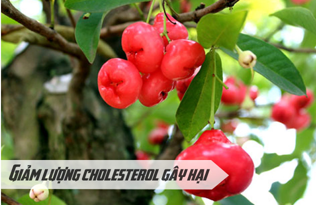 Eating lots of 'whips' is not only painless but also beneficial for health Picture 5