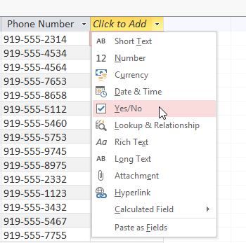 Edit tables in Access 2016 Picture 2