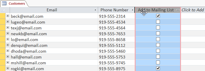 Edit tables in Access 2016 Picture 4