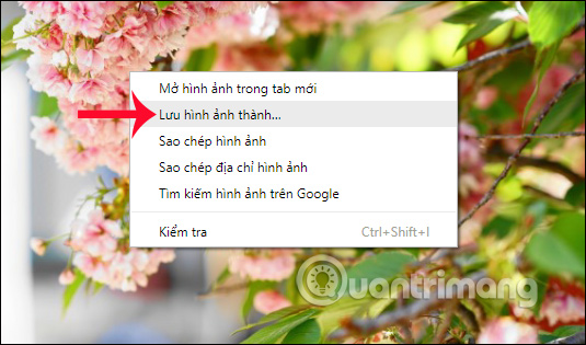 Effective support services for Dropbox Picture 20