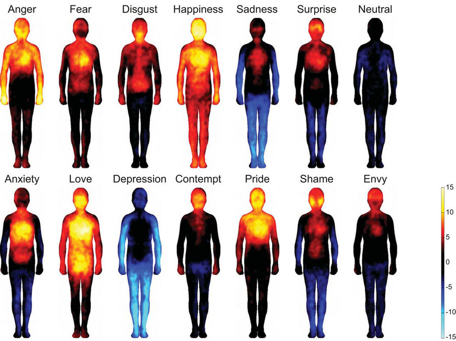 Emotional map of the body: The relationship between emotions, physiological state and behavior Picture 2