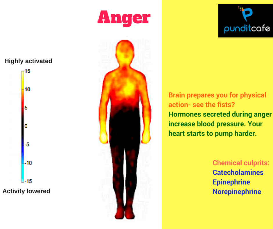 Emotional map of the body: The relationship between emotions, physiological state and behavior Picture 3