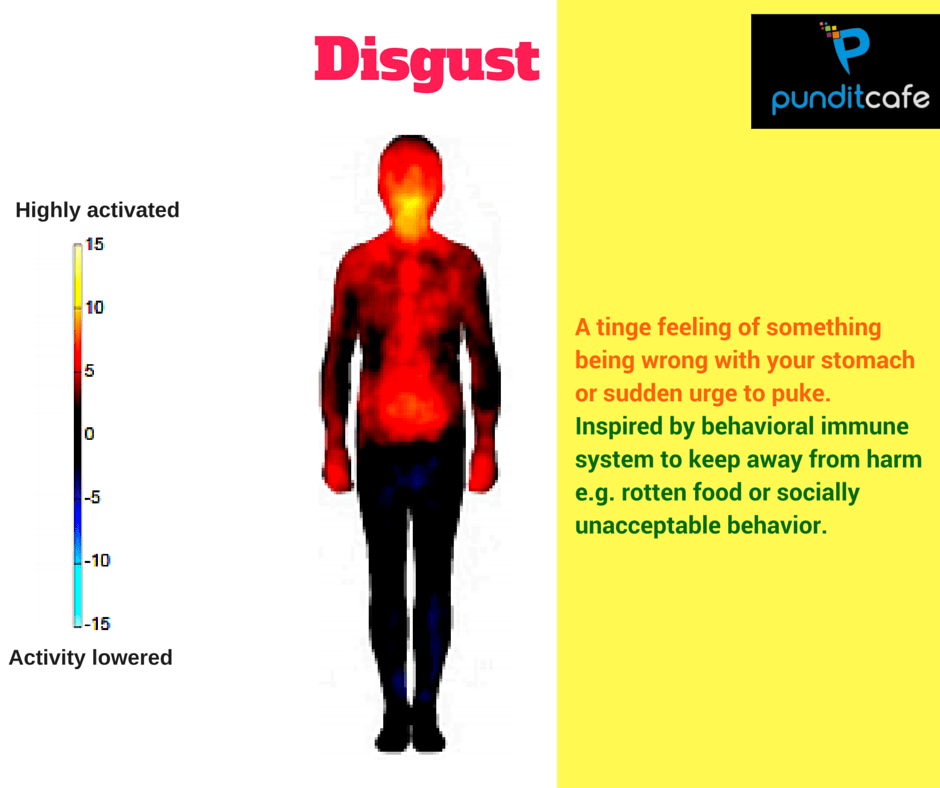Emotional map of the body: The relationship between emotions, physiological state and behavior Picture 4