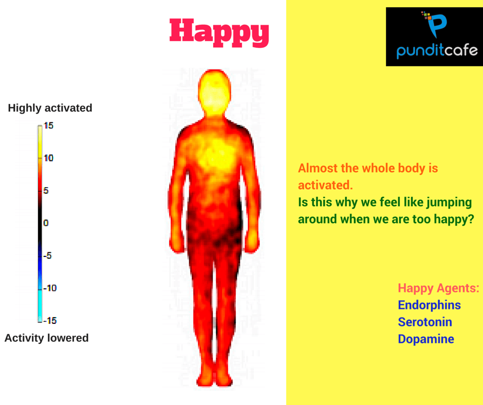 Emotional map of the body: The relationship between emotions, physiological state and behavior Picture 5