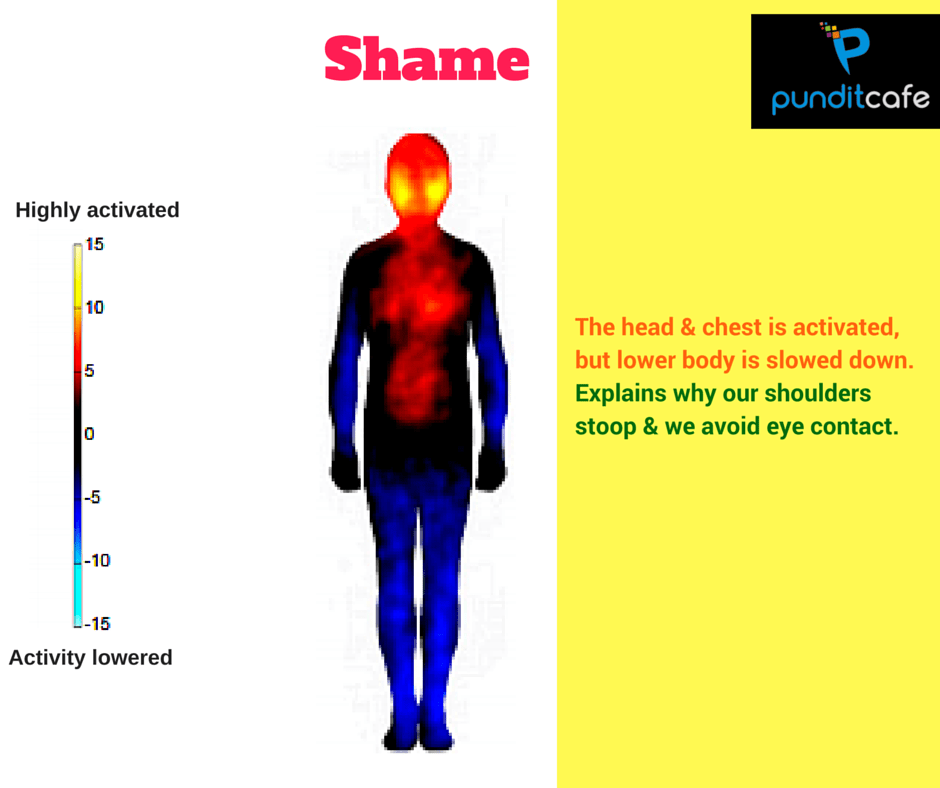 Emotional map of the body: The relationship between emotions, physiological state and behavior Picture 8