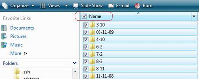 Enable Check Box feature for convenient file selection Picture 5