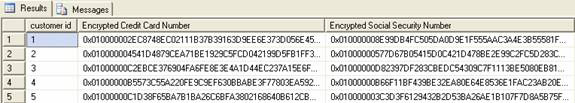 Encryption in SQL Server 2005 Picture 2