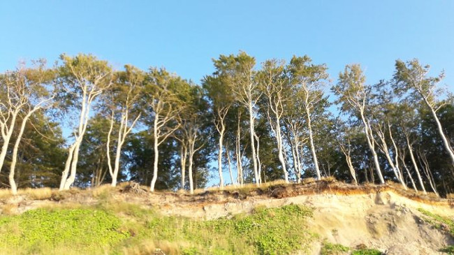 Entertainment with 20+ funny photos due to the need to blink without mind Picture 26