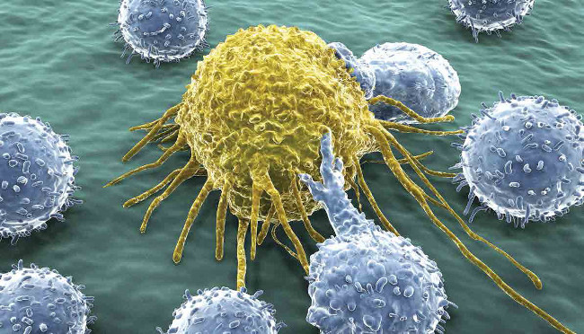 Equip a new 'weapon' for T cells to fight cancer Picture 1
