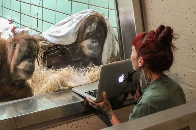 Establish 11 useful technology habits for 2018 Picture 4