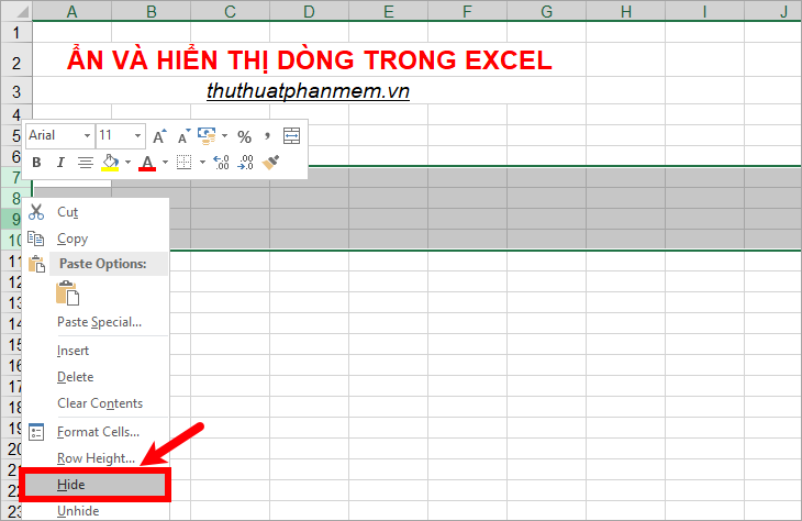 Excel with hidden lines - How to hide lines and display hidden lines in ...