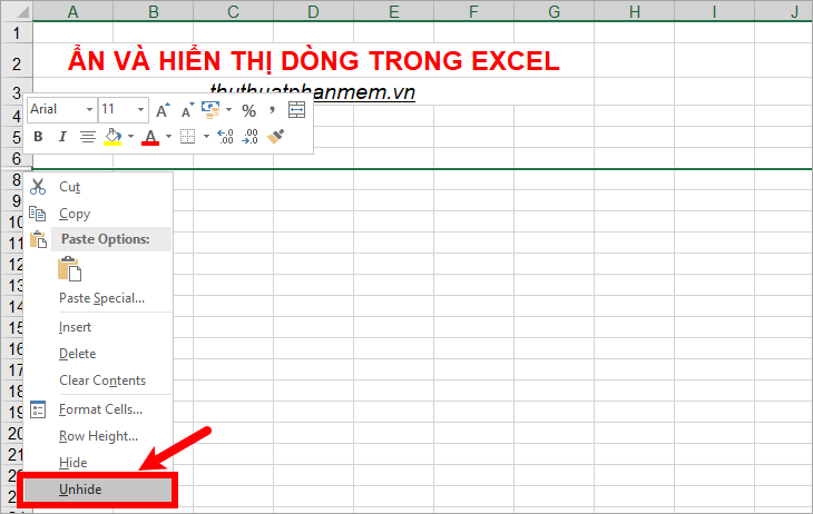 Excel with hidden lines - How to hide lines and display hidden lines in ...