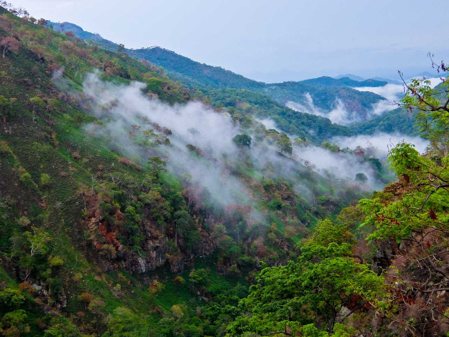 Experience an exciting trip through Sri Lanka Picture 4