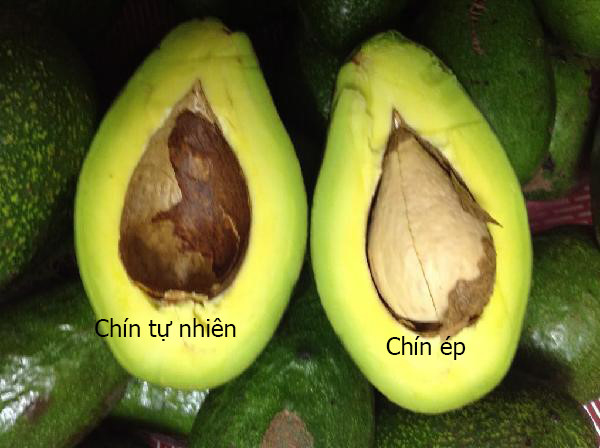 Experience in selecting delicious avocados without soaking chemicals Picture 4