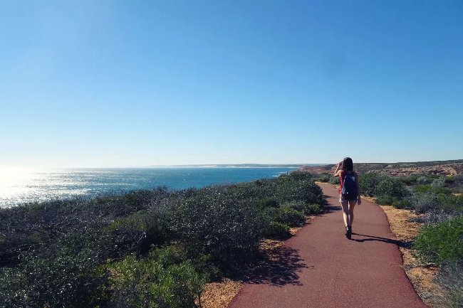 Experience saving money effectively when traveling Picture 3