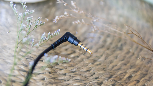 Experience Sony MDR-ZX110AP: Stylish headphones for music followers Picture 4