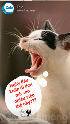 Experience unique moments and Zalo features on Zalo Picture 11