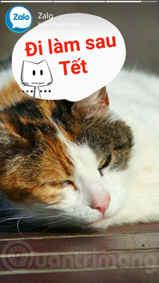 Experience unique moments and Zalo features on Zalo Picture 12