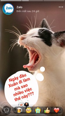 Experience unique moments and Zalo features on Zalo Picture 13