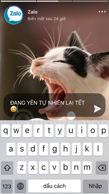 Experience unique moments and Zalo features on Zalo Picture 14