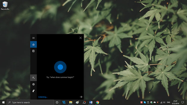 Experience Windows 10 May 2019, New Light interface, allow to pause update ... Picture 22