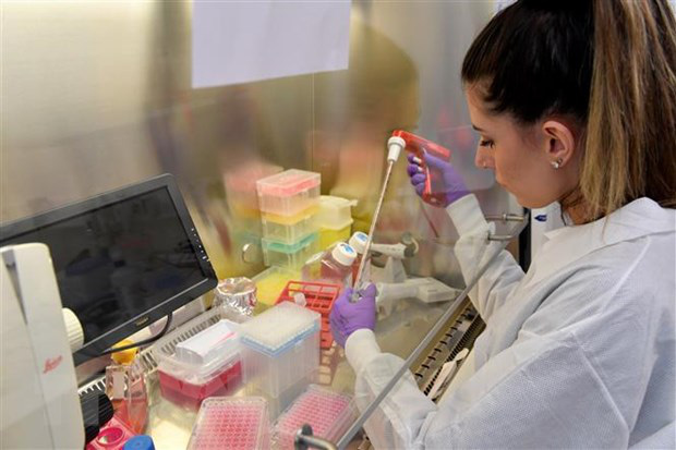 Expert: There will be no lifelong immunity to SARS-CoV-2 Picture 1
