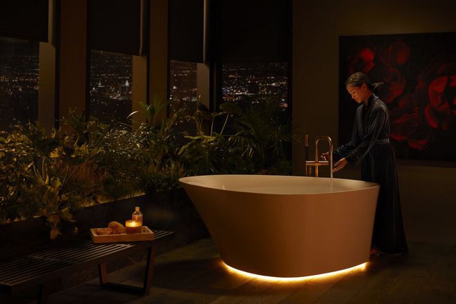 Explore a special high-tech bathroom with the ability to control everything by voice from the toilet to the mirror Picture 5