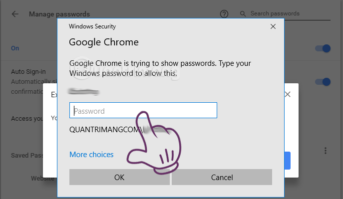 Extract the password saved on Chrome in .CSV format Picture 8