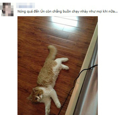 Extremely funny sunshine effects of netizens Picture 7