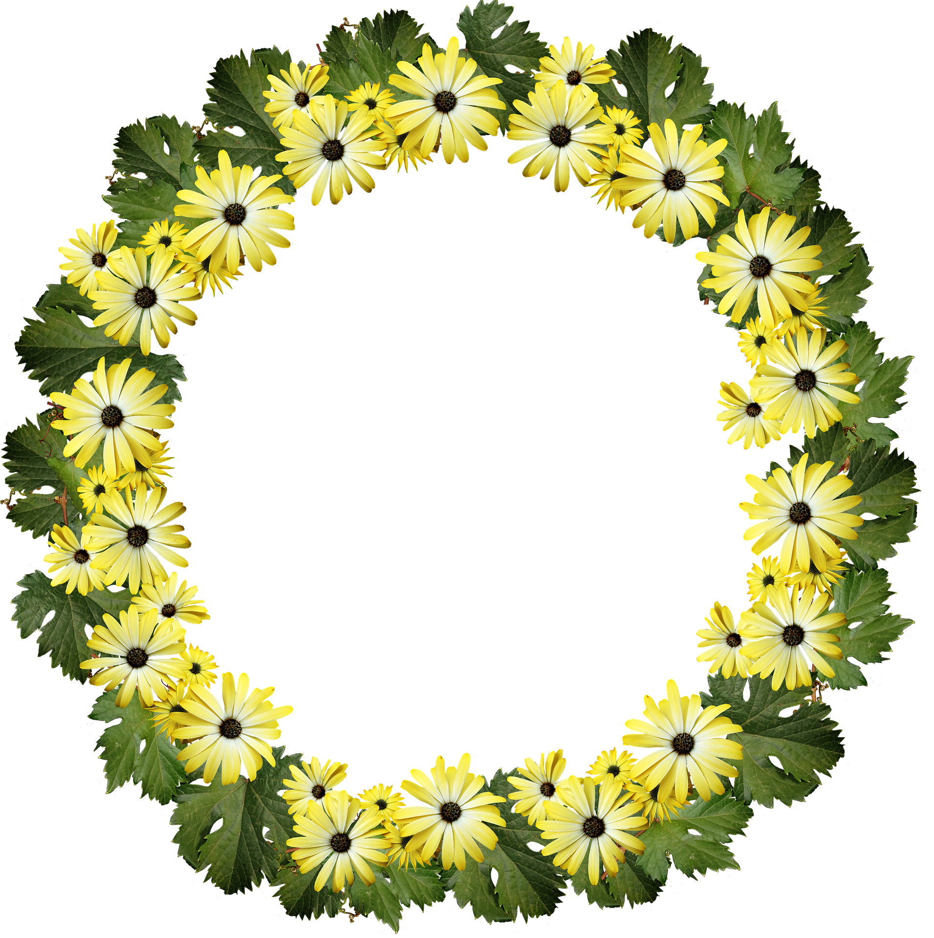 Extremely high quality photo frames for you collage Picture 9