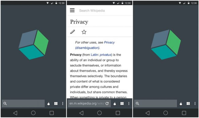 Face point 15 the safest web browser for Android Picture 3