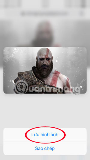 Face transplant, face swap on iPhone Picture 10