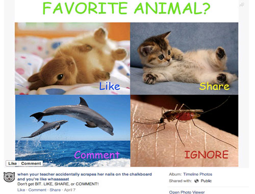 Facebook claims to punish Like pages Picture 1