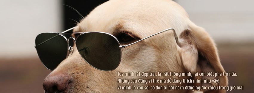 Facebook cover art photos for those who want to show personality Picture 52