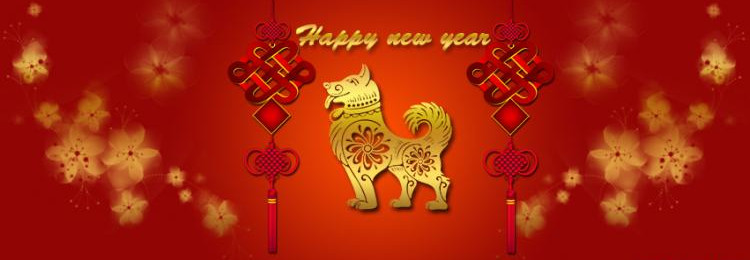 Facebook cover photo greeting spring Pig year 2019 Picture 47