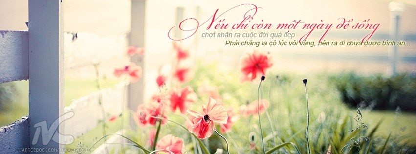 Facebook love photo cover romantic love Picture 16