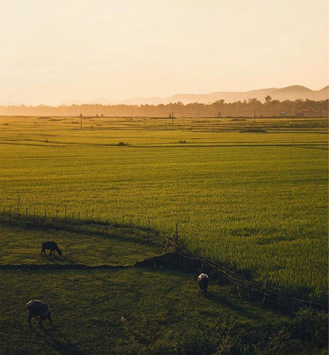 Famous places in Vietnam appear in the movie 'Kong: Skull Island'. Picture 10