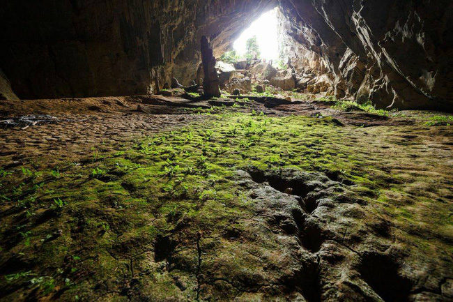 Famous places in Vietnam appear in the movie 'Kong: Skull Island'. Picture 15