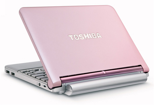 Fashion netbook for 'sisters' Picture 5