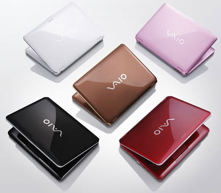 Fashionable laptop Sony Vaio CS11 Picture 6