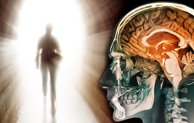 Fearful truth: The mind still works even when the body is dead Picture 2