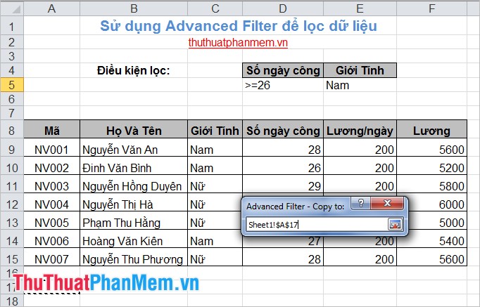 Filter data in Excel with Advanced Filter Picture 14