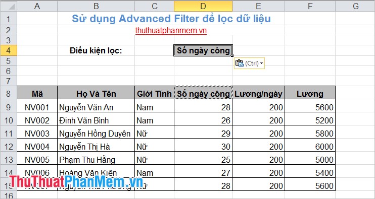 Filter data in Excel with Advanced Filter Picture 4
