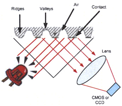 Find out how fingerprint security technology works Picture 2