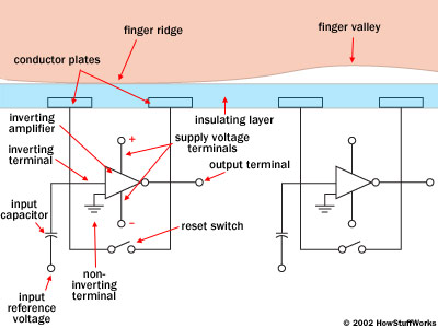 Find out how fingerprint security technology works Picture 4