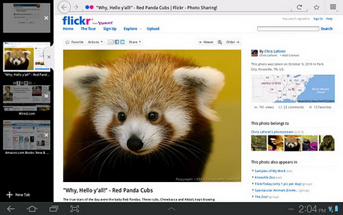 FireFox 10: The fox fire wakes up Picture 3