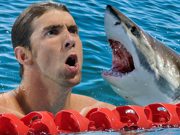 Fisherman Michael Phelps swim with white shark: Who wins? Picture 1