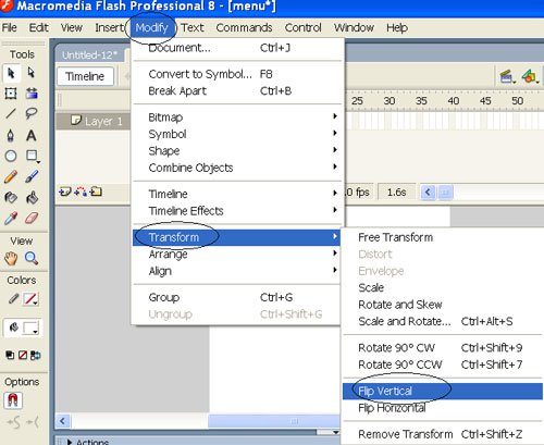 Flash - Strange menu Picture 9