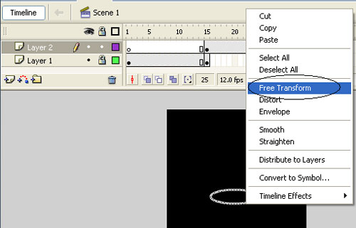 Flash - Water drop effect Picture 12